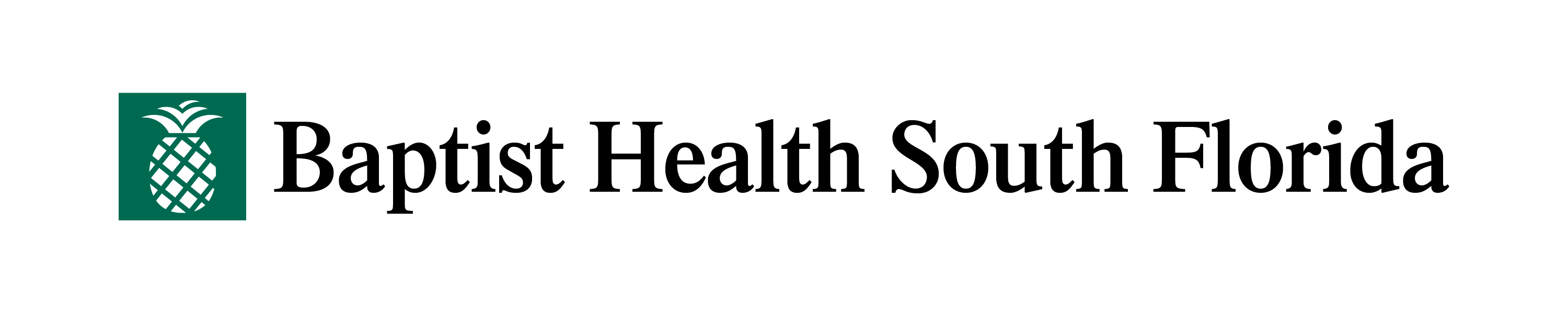 BHSF Logo_color_hor
