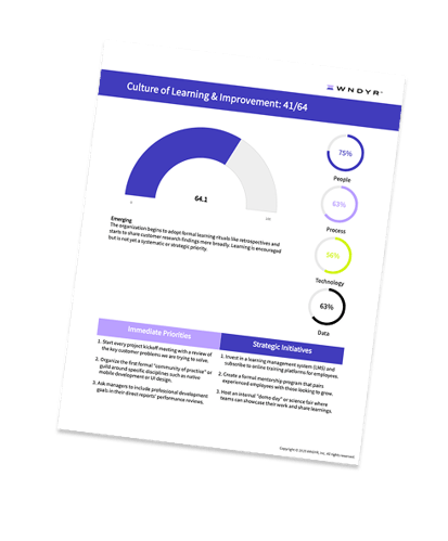 Example page from CX Assessment Report Example page from CX Assessment Report